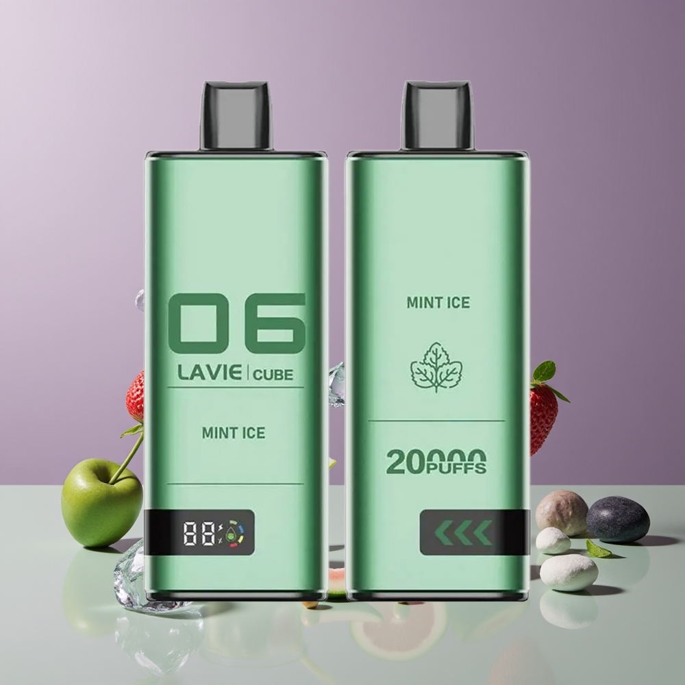 Menthe Glacée Lavie Cube 20000 Puffs Belgique Grossiste 28ML Type C
