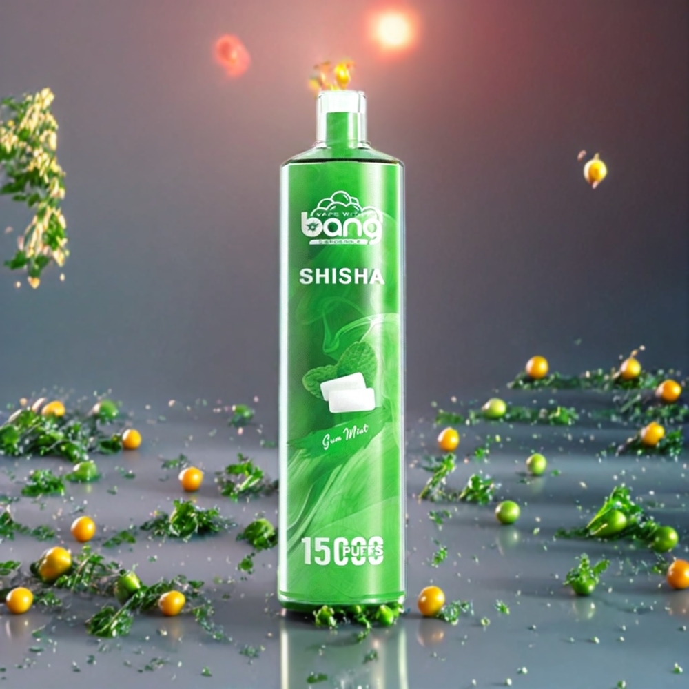 Menthe Gomme Bang Shisha 15000 Puffs 23ml Belgique Grossiste DTL Technologie de Pointe
