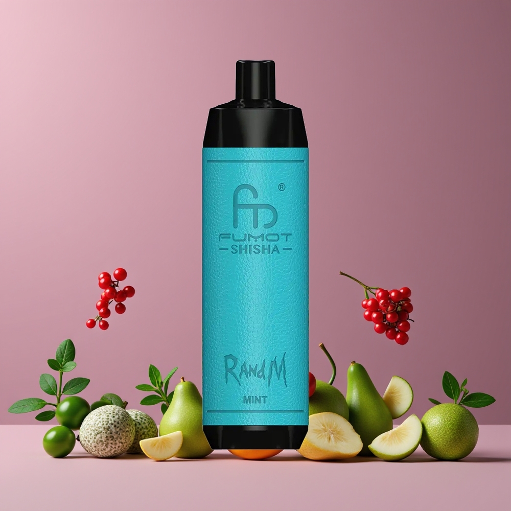 Menthe RandM Fumot Shisha 10000 Puffs Belgique Grossiste 18ml 05 Nicotine