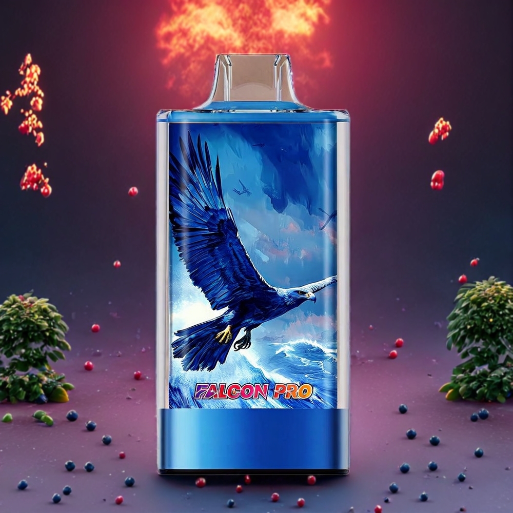 Myrtille Acidulée Framboise JNR Falcon Pro 28000 Puffs Belgique Grossiste 30ml E-liquide Type-C