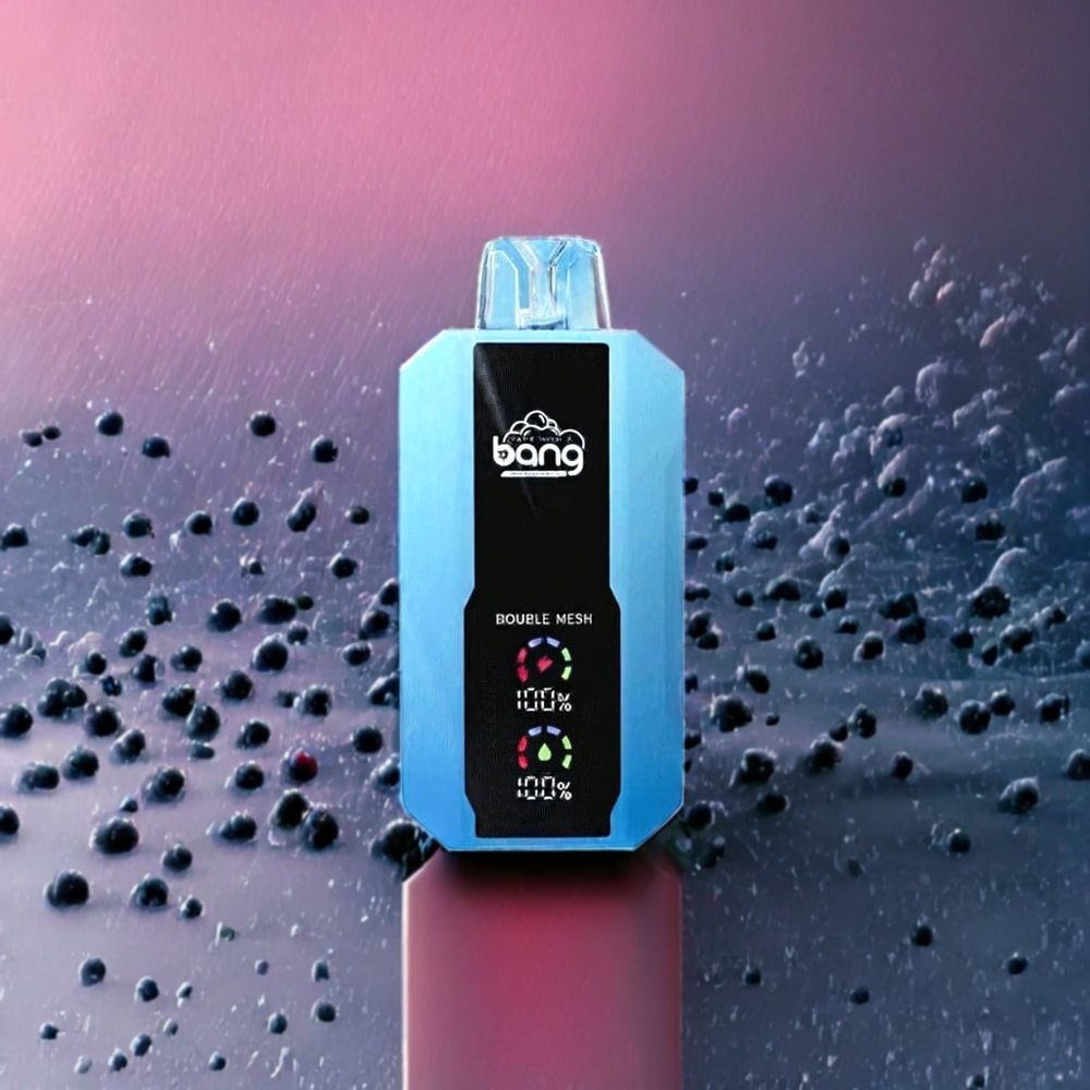 Myrtille Glace Bang 25000 Puffs 30ml Type-C Belgique Grossiste