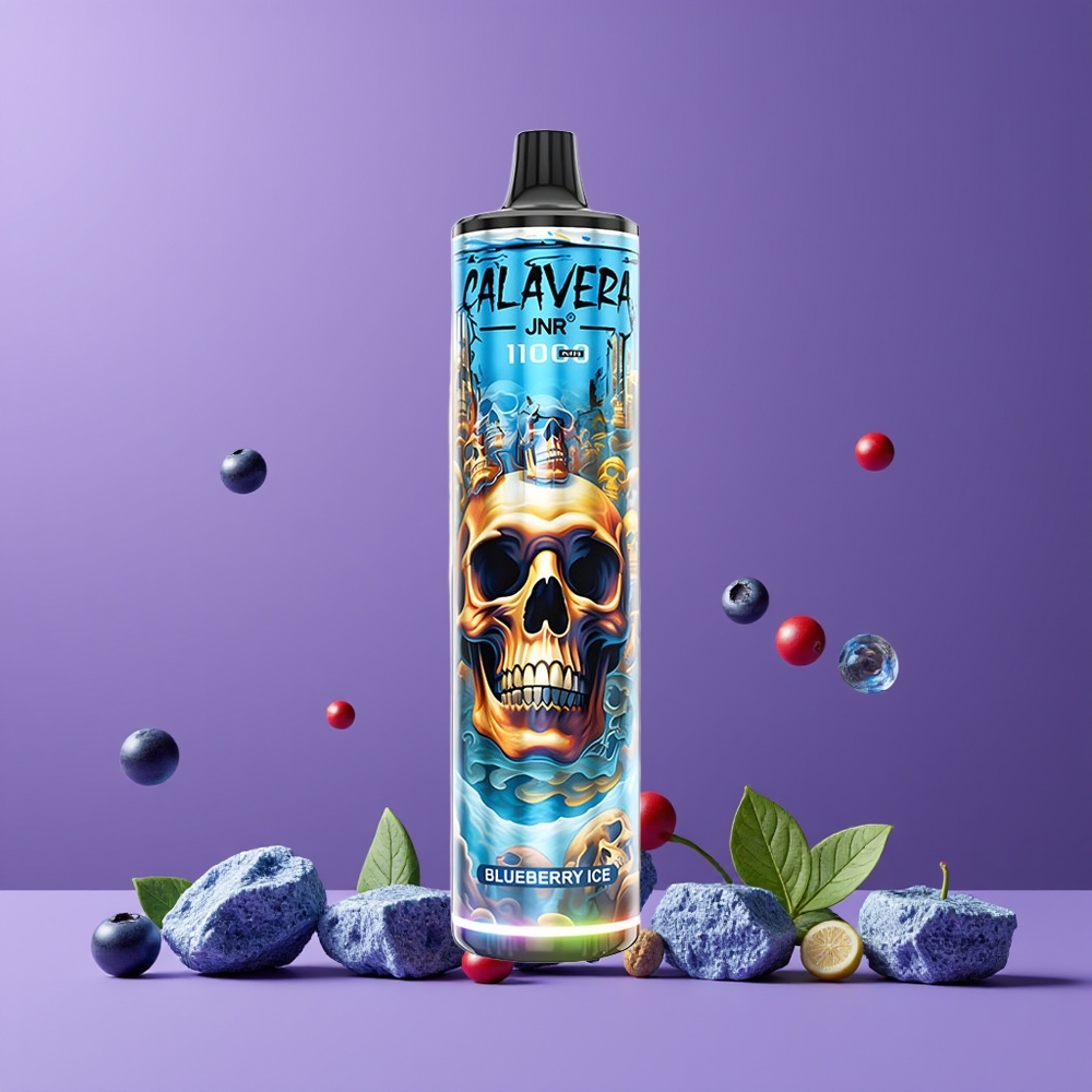 Myrtille Glace JNR Calavera 11000 Puffs Belgique Grossiste 850mAh 21ml