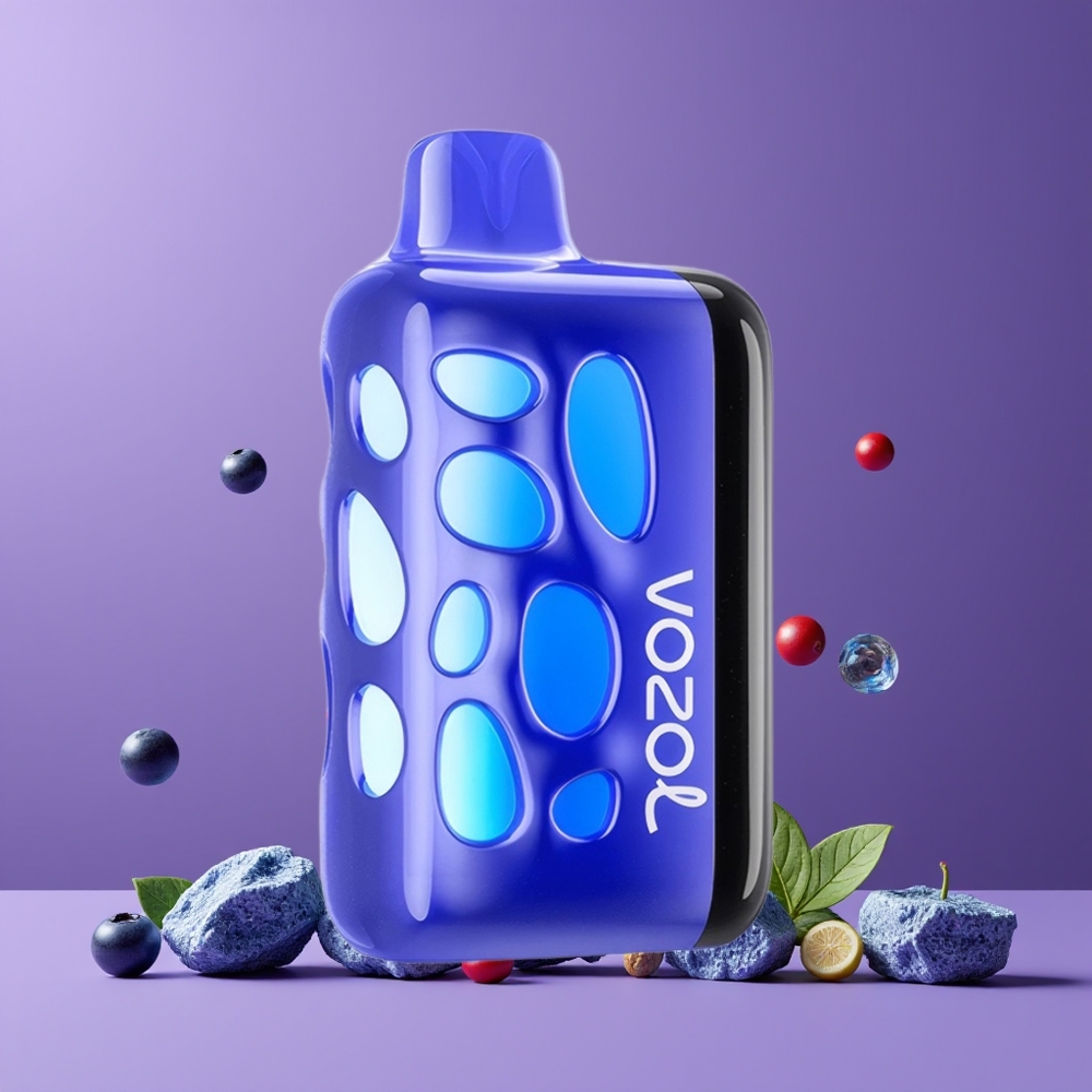 Myrtille Glace VOZOL RAVE 40000 20/50mg/ml 1000mAh Belgique Grossiste