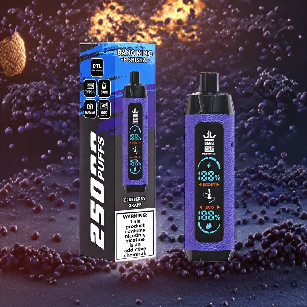 Myrtille Raisin Bang King Shisha 25000 Puffs 30ml Belgique Grossiste Type-C