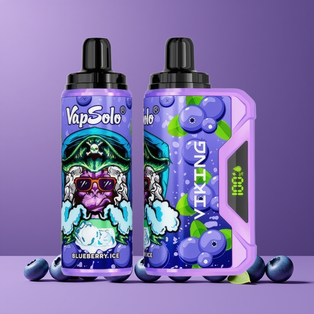 Myrtille VapSolo VIKING 12000 Puffs Belgique Grossiste 22ml Type-C