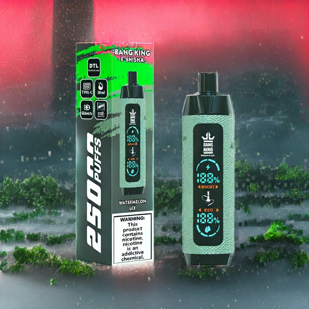 Pastèque Glace Bang King Shisha 25000 Puffs 30ml Belgique Grossiste