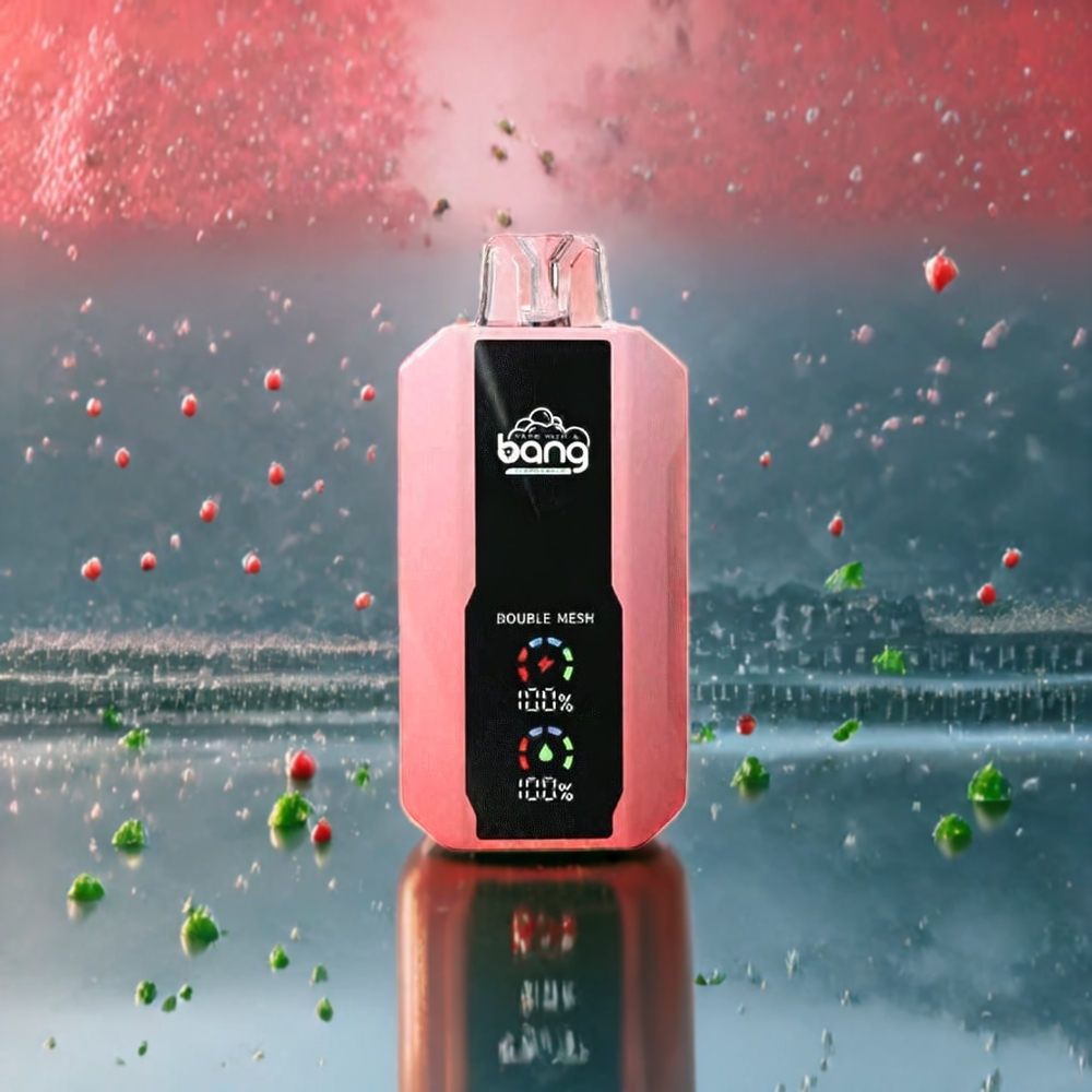 Pastèque Glacée Bang 25000 Puffs Belgique Grossiste 30ml Type-C