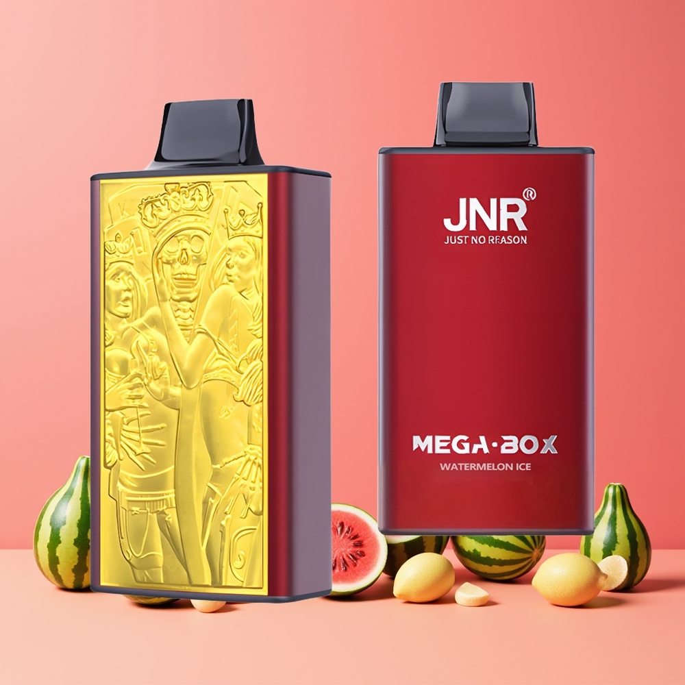 Pastèque Glacée JNR Mega Box 25000 Puffs Belgique Grossiste Dual Mesh Coil Type-C