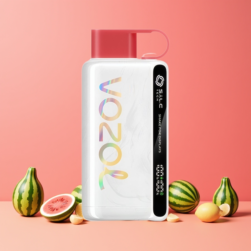 Pastèque Glacée VOZOL STAR 9000/12000 Belgique Grossiste 650mAh Recyclé
