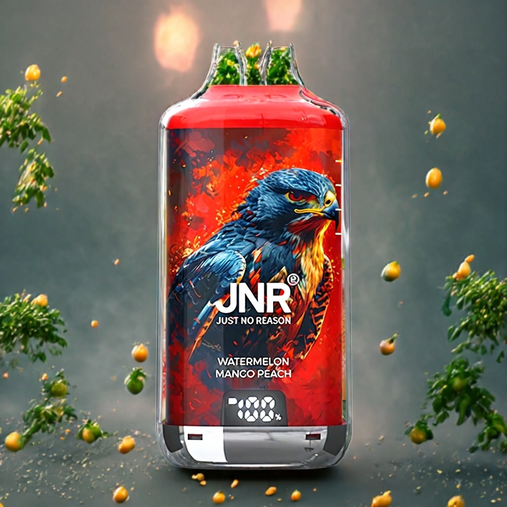 Pastèque Mangue Pêche JNR Falcon X⁺ 28000 Puffs Belgique Grossiste 950mAh 2 10ml
