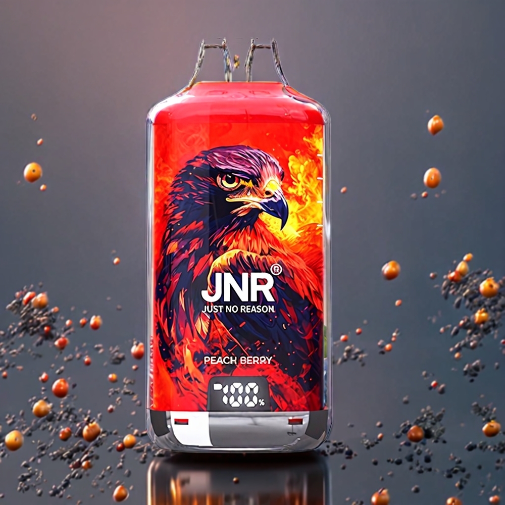 Pêche Baie JNR Falcon X⁺ 28000 Puffs Belgique Grossiste 950mAh Type-C