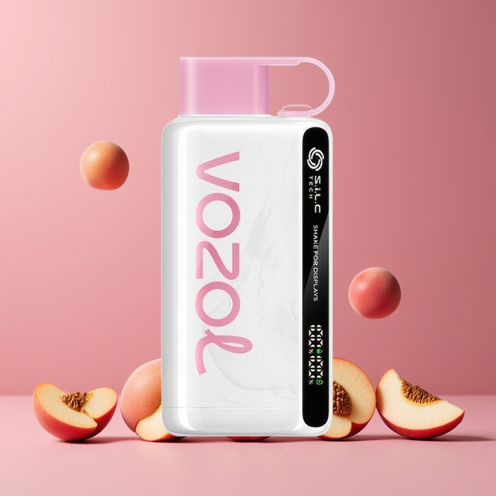 Pêche Glacée VOZOL STAR 9000/12000 650mAh 0/20/50mg/ml Belgique Grossiste