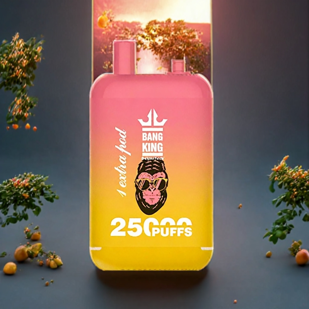 Pêche Mangue Bang King 25000 Puffs 46ml Belgique Grossiste Dual Pod