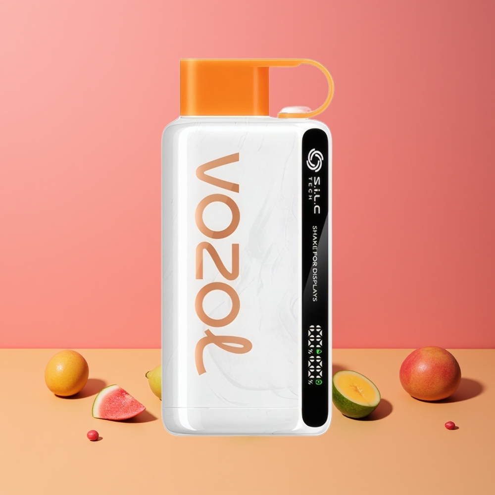 Pêche Mangue Pastèque VOZOL STAR 9000/12000 Belgique Grossiste Charge Rapide 30 Recyclé