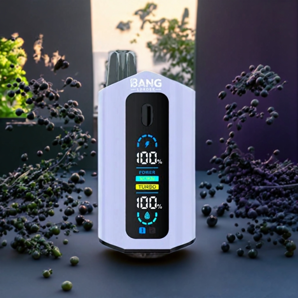 Raisin Noir Raisin Vert Bang Leader 50000 Puffs Belgique Grossiste 2-en-1 13400mAh