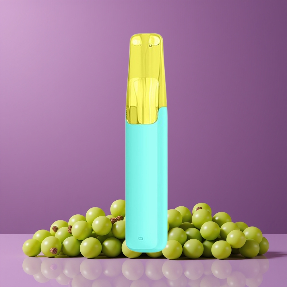 Raisin Vert Snowplus Dash 4000 Bouffées Belgique Grossiste Céramique 530 mAh
