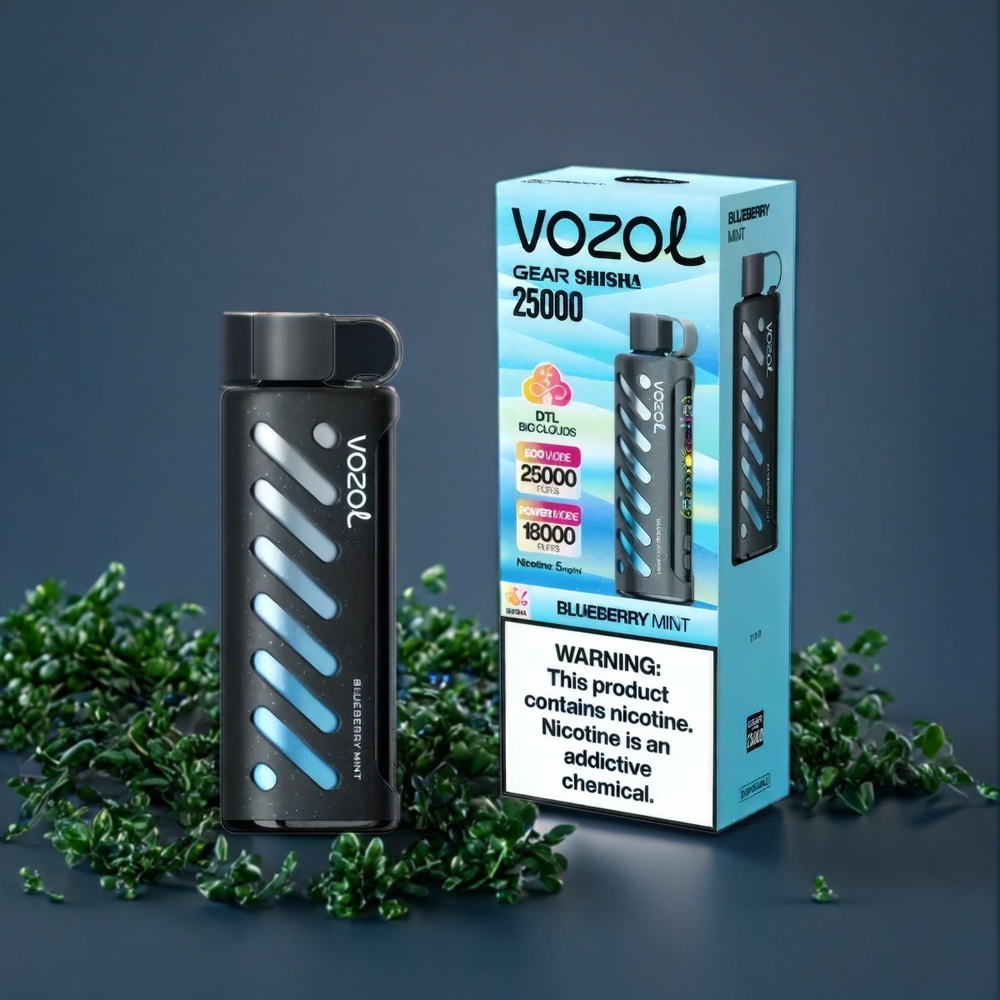 VOZOL Gear Shisha 25000 Puffs Belgique Grossiste Double Mesh Menthe Bleuet 3mg/ml