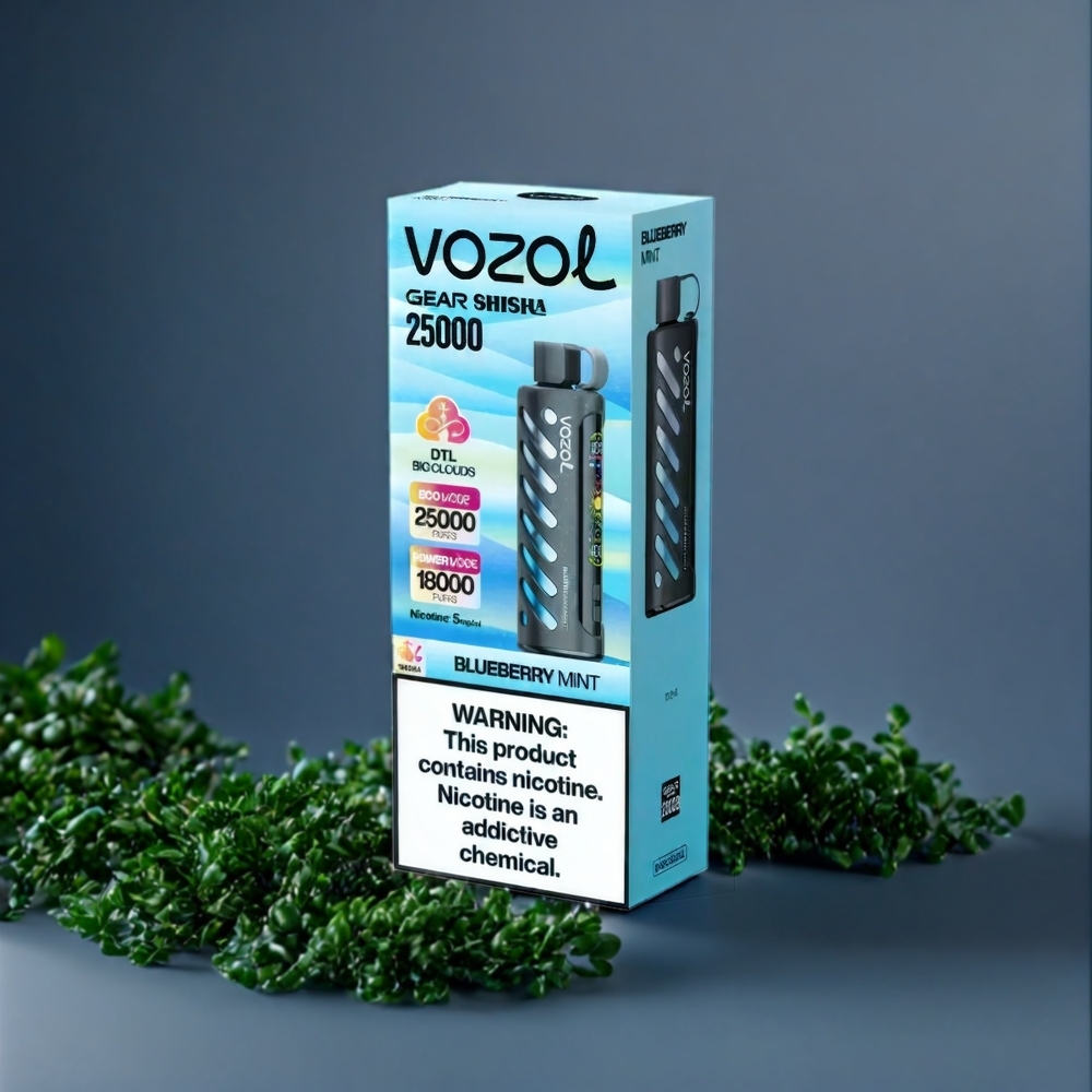 VOZOL Gear Shisha 25000 Puffs Belgique Grossiste Double Mesh Menthe Bleuet 3mg/ml