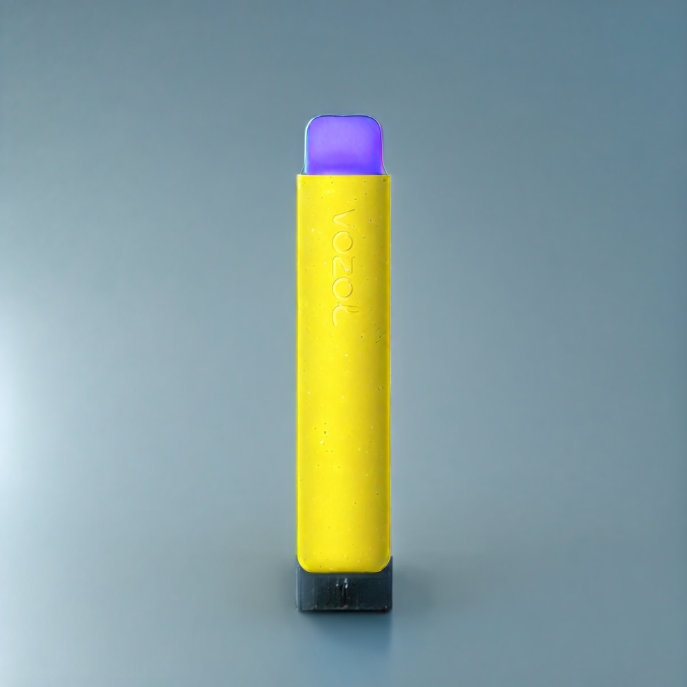 VOZOL Star 20000 Puffs Belgique Grossiste Double Mesh 650mAh Mangue Glacée