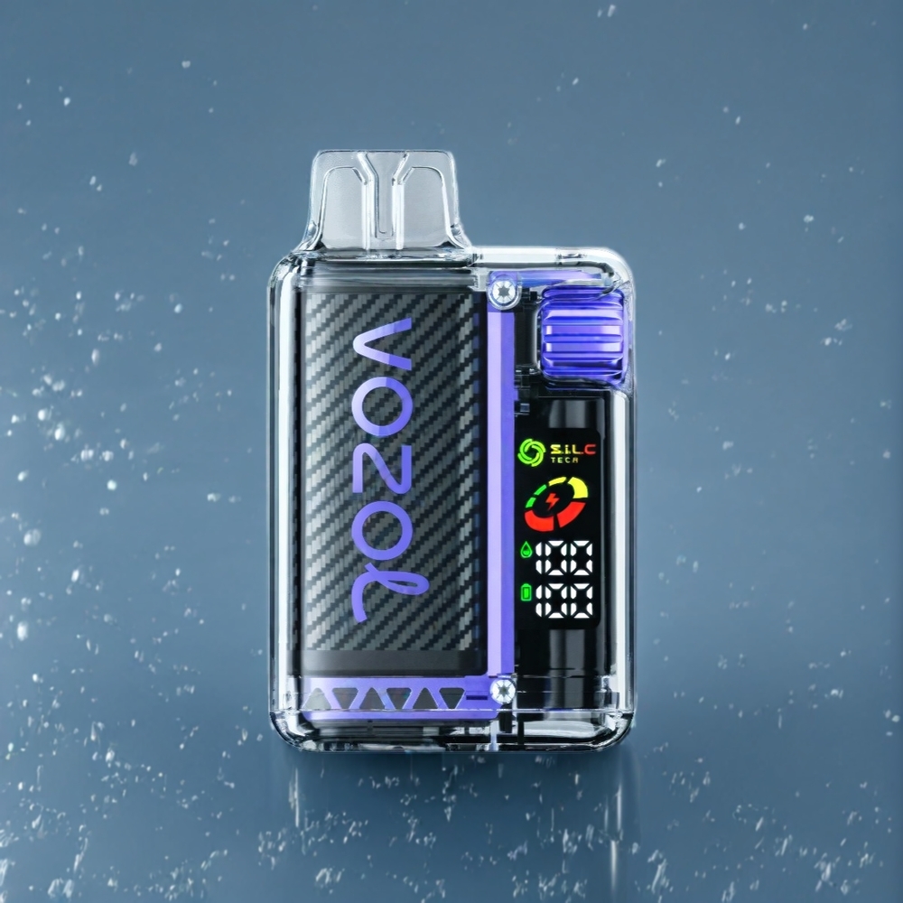 VOZOL Vista 20000 Puffs Belgique Grossiste Écran OLED et Batterie Rechargeable 650mAh Glace Raisin
