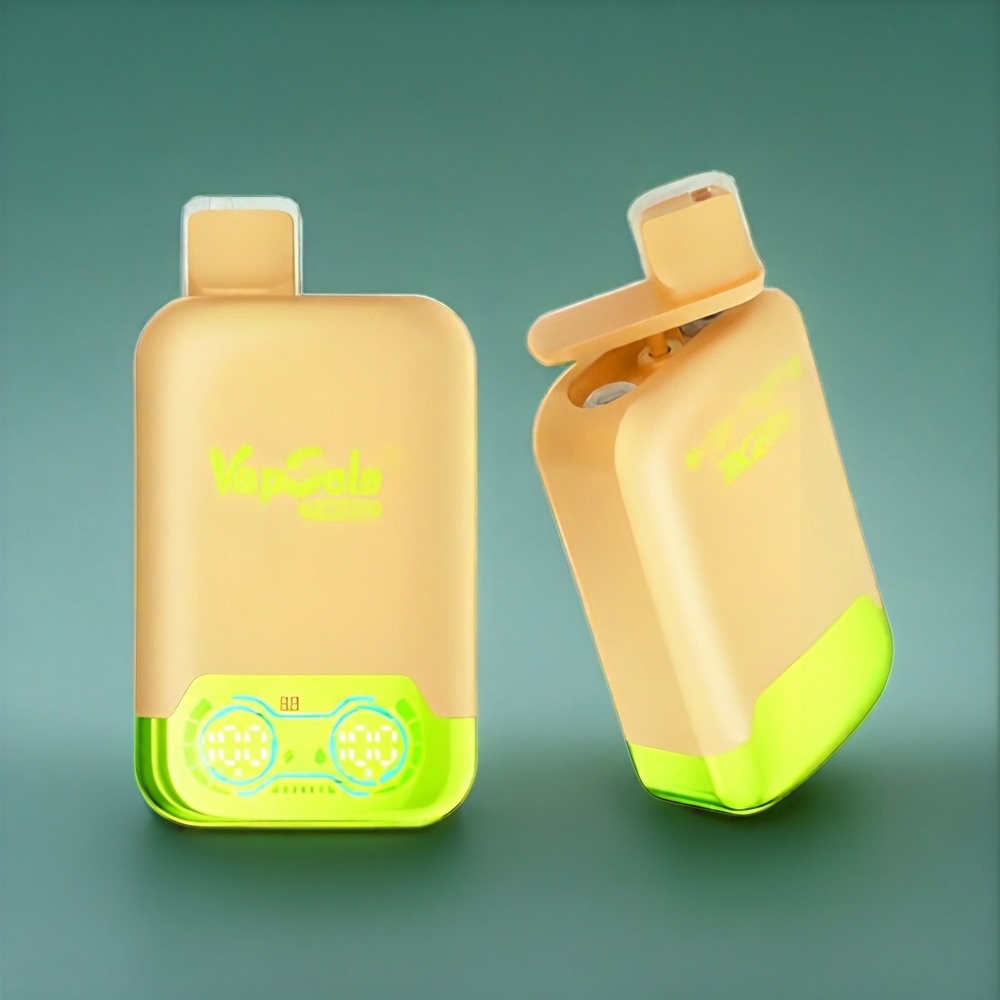 Vapsolo Twins 20000 Puffs Belgique Grossiste 40 ml Type-C Citron Vert  Pastèque Glacée