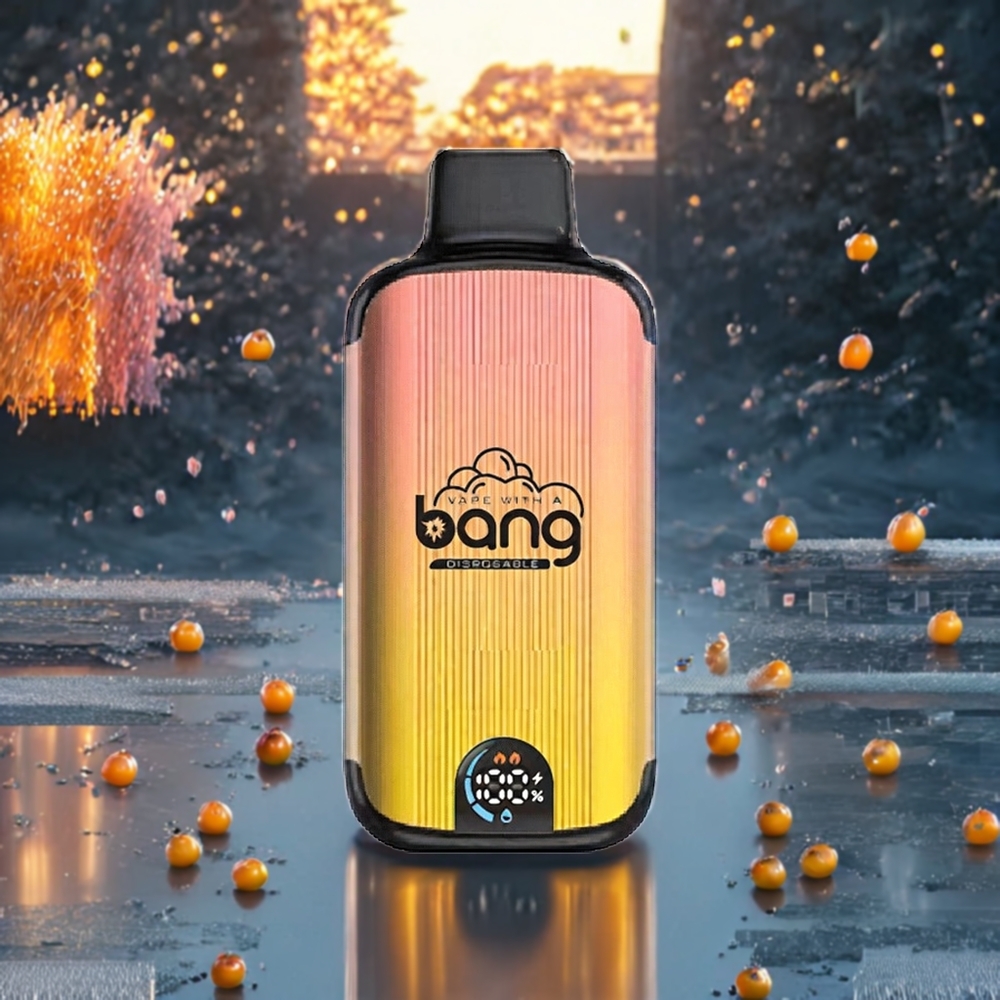 Pêche Glacée Bang 20000 Puffs Type-C Belgique Grossiste 13400mAh