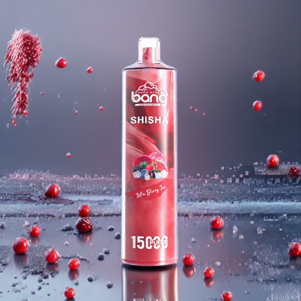 Mix Baies Glacées Bang Shisha 15000 Puffs 23ml Belgique Grossiste Type-C