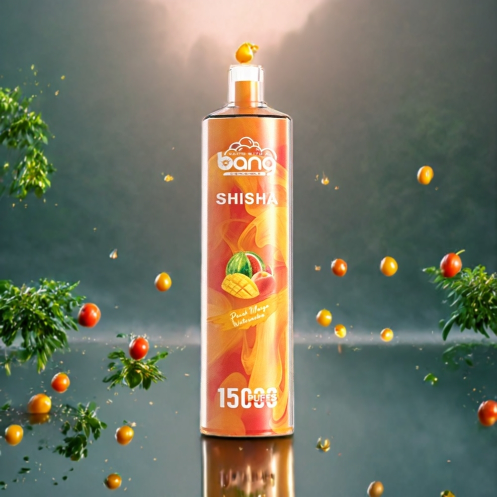 Pêche Mangue Pastèque Bang Shisha 15000 Puffs 23ml Belgique Grossiste DTL Technologie