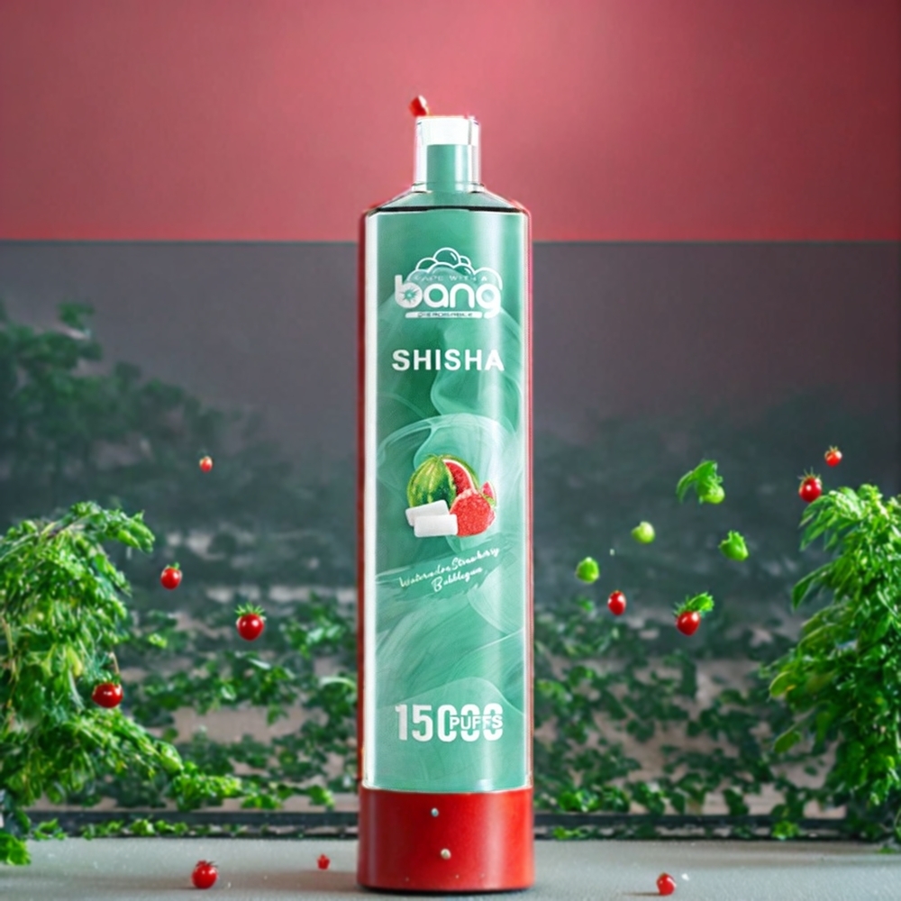 Pastèque Fraise Bubblegum Bang Shisha 15000 Puffs Belgique Grossiste 23ml Type-C