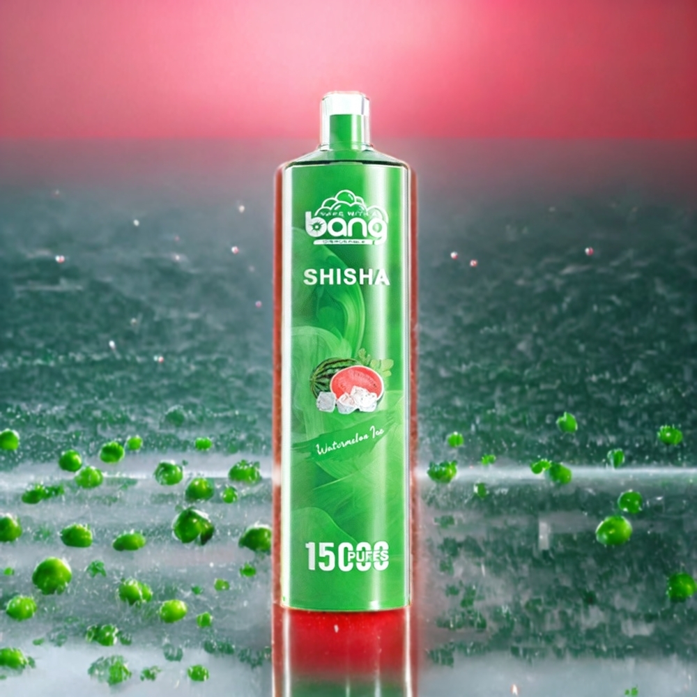 Pastèque Glace Bang Shisha 15000 Puffs 23ml Belgique Grossiste DTL Type-C