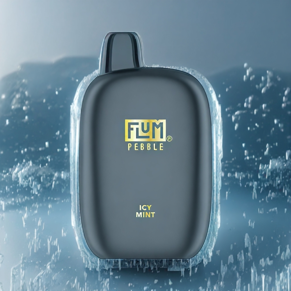 Flum Pebble Belgique Grossiste 6000 Puffs 10ml Menthe Glacée Vape