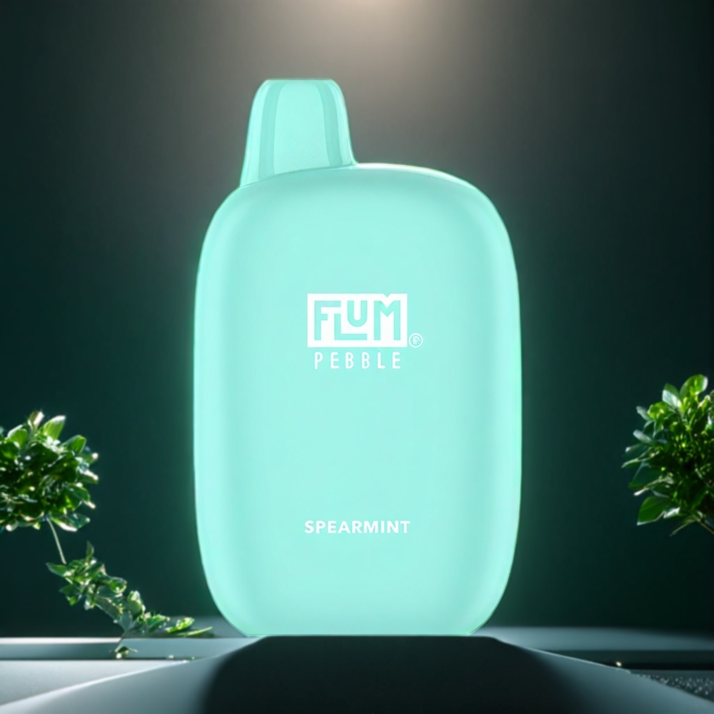 Flum Pebble Belgique Grossiste 6000 Puffs 10ml Spearmenthe E-Liquide Rechargeable Type-C