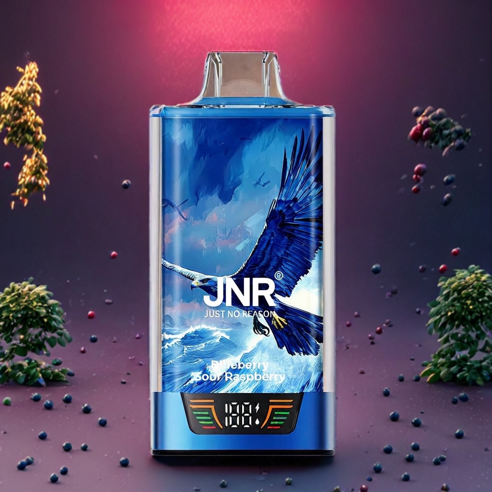 Myrtille Acidulée Framboise JNR Falcon Pro 28000 Puffs Belgique Grossiste 30ml E-liquide Type-C