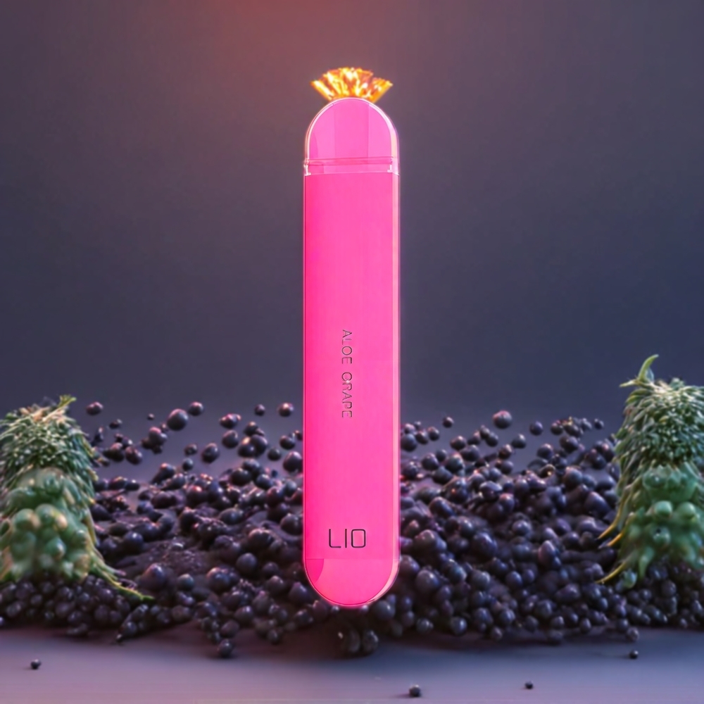Aloe Raisin LIO NANO X 600 Puffs Belgique Grossiste 2ML 20mg