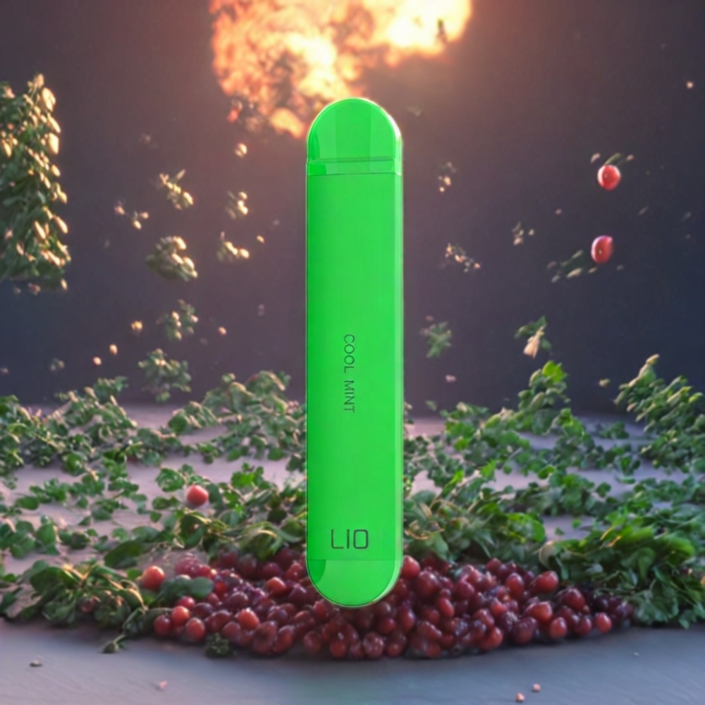Menthe Fraîche LIO NANO X 600 Puffs Belgique Grossiste 500mAh 2ML