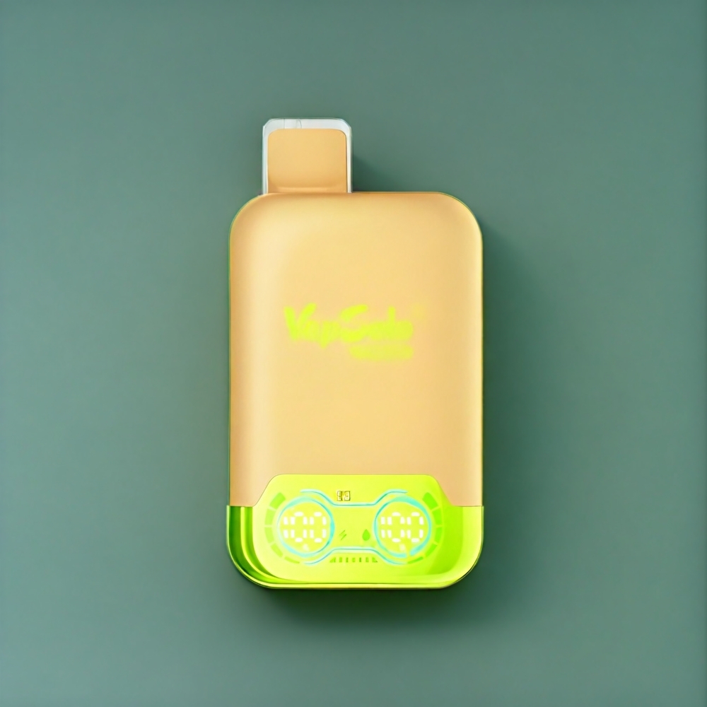 Vapsolo Twins 20000 Puffs Belgique Grossiste 40 ml Type-C Citron Vert & Pastèque Glacée