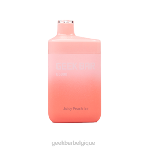 Geek Bar b5000 jetable 28F030 glace à la pêche juteuse Geek Bar sans nicotine