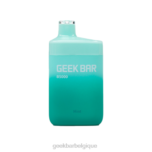 Geek Bar b5000 jetable 28F032 menthe Geek Bar puff