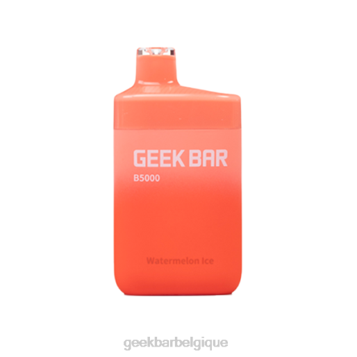 Geek Bar b5000 jetable 28F039 glace à la pastèque Geek Bar vape zero nicotine
