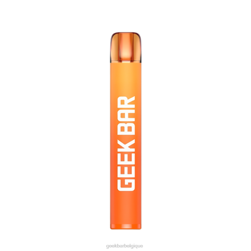Geek Bar vape jetable e600 28F0192 pêche aux pommes Geek Bar puff