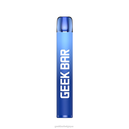 Geek Bar vape jetable e600 28F0196 myrtille Geek Bar disposable