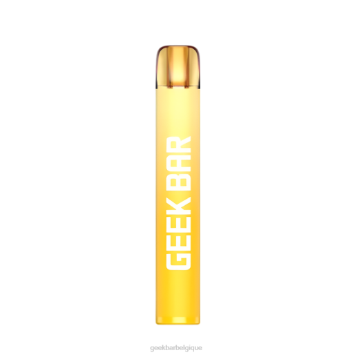 Geek Bar vape jetable e600 28F0202 kiwi passion goyave Geek Bar puff