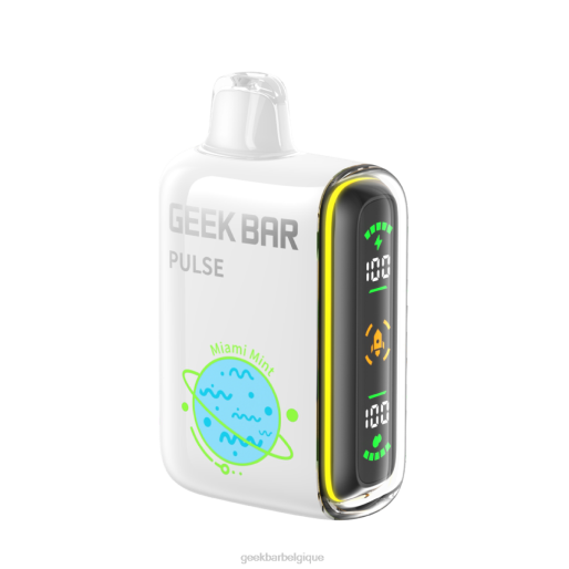 Geek Bar Pulse vape jetable 15k 28F056 menthe de Miami Geek Bar disposable