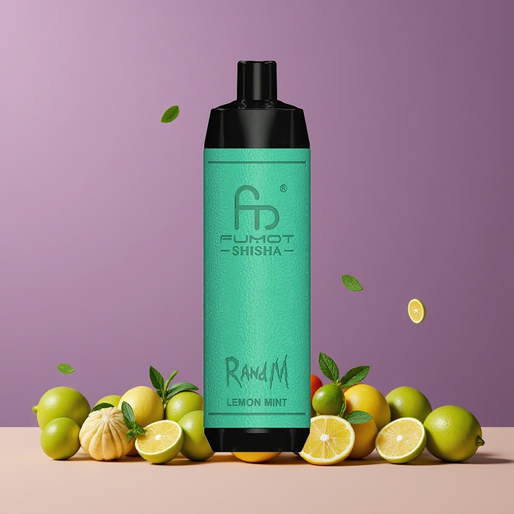 Citron Menthe RandM Fumot Shisha 10000 Puffs Belgique Grossiste 18ml 05 Nicotine